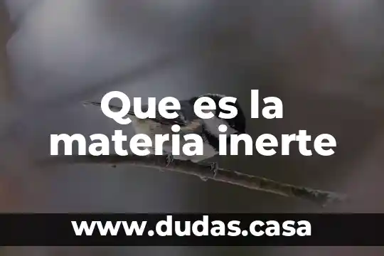 Que es la materia inerte