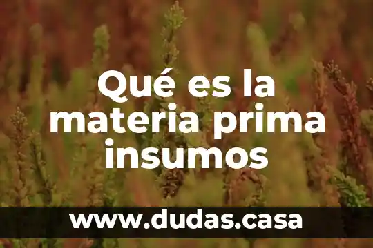 Qué es la materia prima insumos