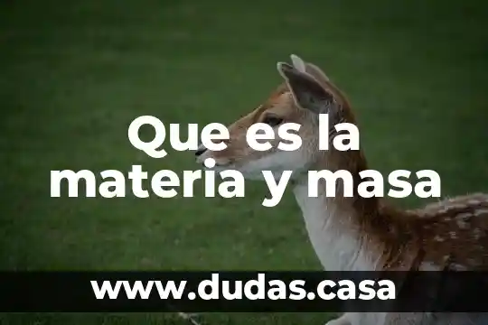 Que es la materia y masa