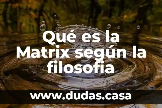 Qué es la Matrix según la filosofia