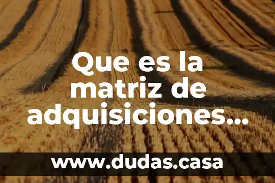 Que es la matriz de adquisiciones productos y servicios