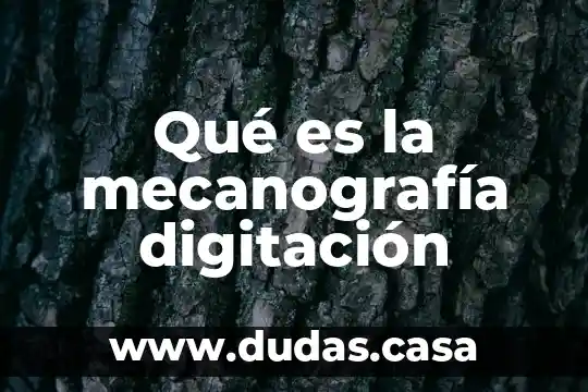 Qué es la mecanografía digitación