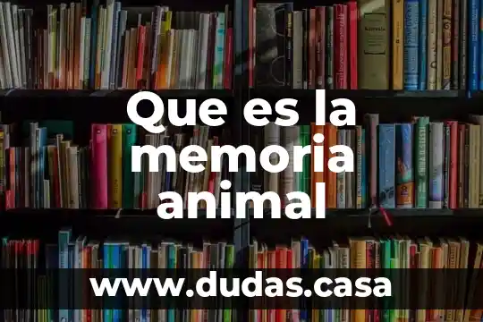 Que es la memoria animal