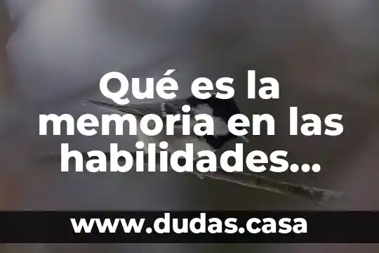Qué es la memoria en las habilidades cognitivas ejemplos