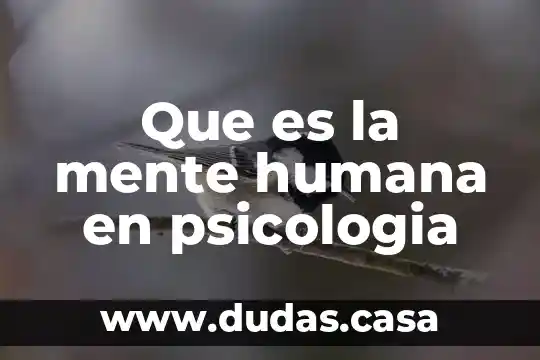 Que es la mente humana en psicologia
