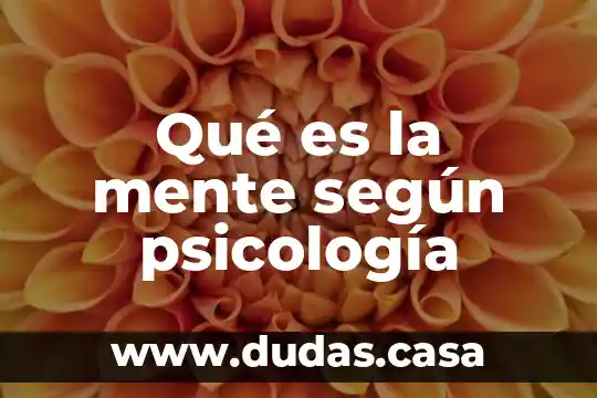 Qué es la mente según psicología
