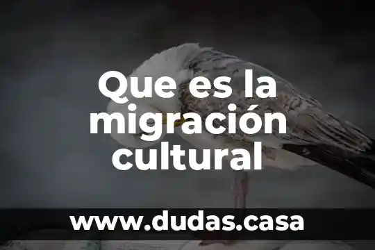 Que es la migración cultural