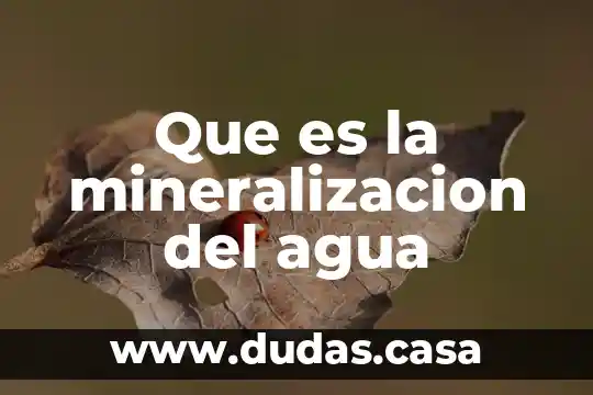 Que es la mineralizacion del agua