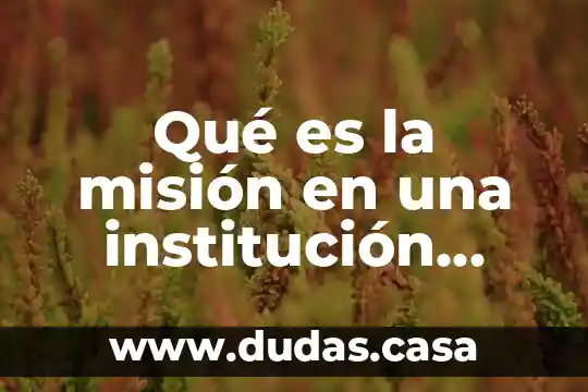 Qué es la misión en una institución educativa