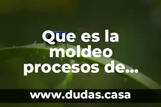 Que es la moldeo procesos de fabricacion