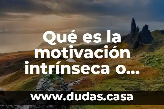 Qué es la motivación intrínseca o interna