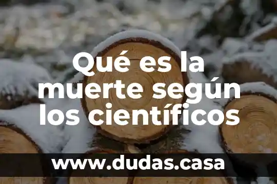 Qué es la muerte según los científicos