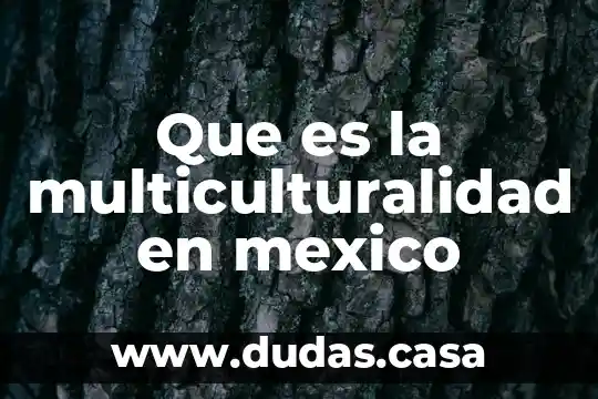 Que es la multiculturalidad en mexico