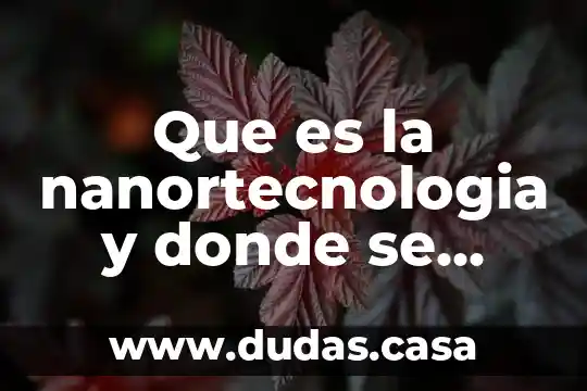 Que es la nanortecnologia y donde se aplica