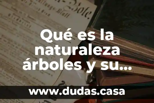 Qué es la naturaleza árboles y su concepto