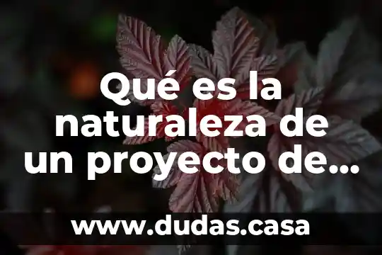 Qué es la naturaleza de un proyecto de inversión