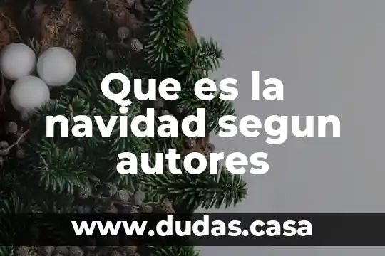 Que es la navidad segun autores
