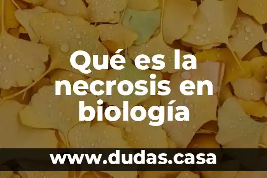 Qué es la necrosis en biología