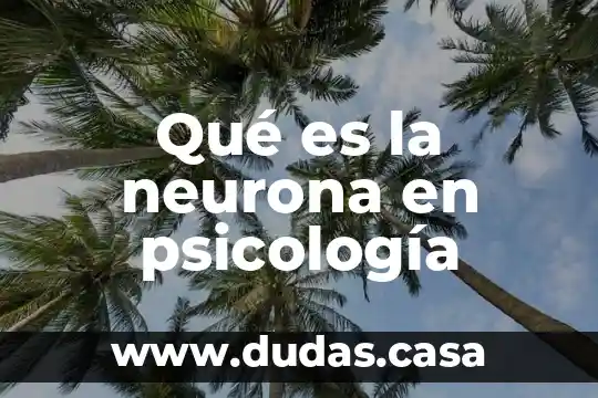 Qué es la neurona en psicología