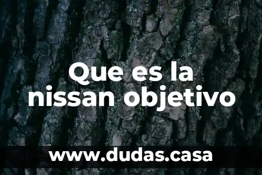 Que es la nissan objetivo 21 Que es la nissan objetivo