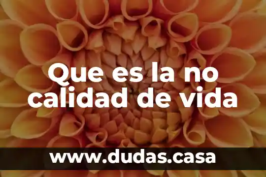 Que es la no calidad de vida