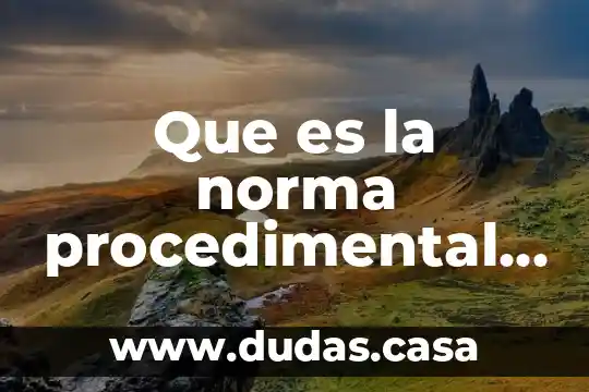 Que es la norma procedimental penal definicion