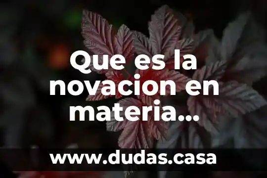Que es la novacion en materia mercantil