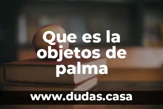 Que es la objetos de palma