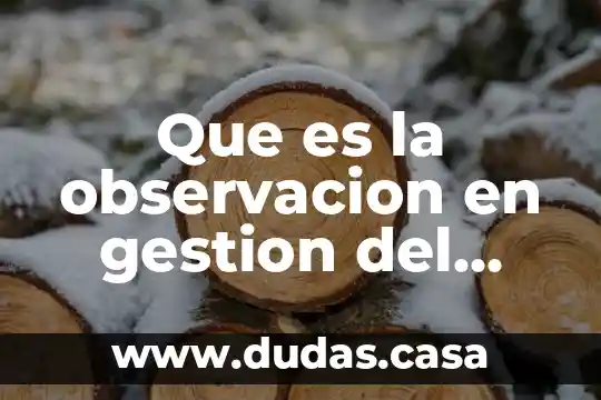 Que es la observacion en gestion del conocimiento