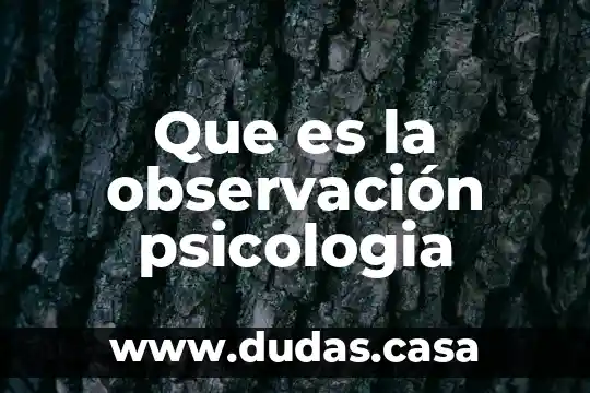 Que es la observación psicologia