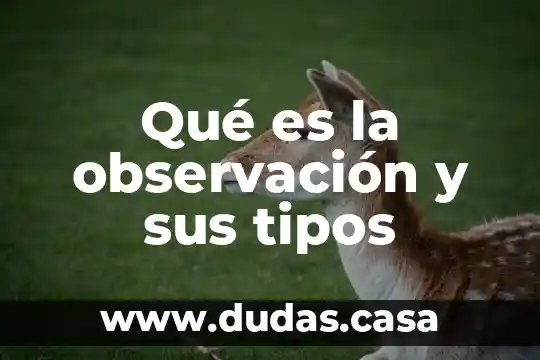 Qué es la observación y sus tipos