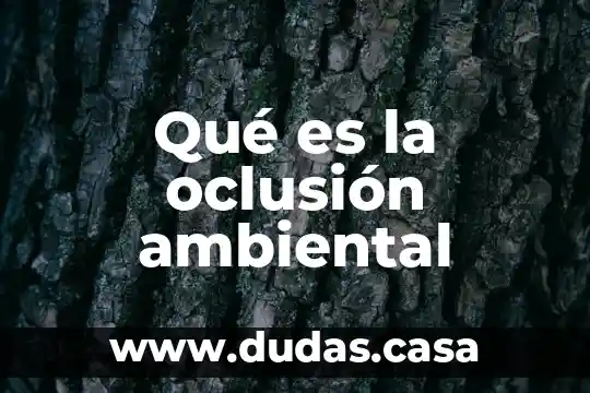 Qué es la oclusión ambiental