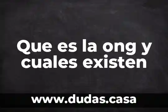 Que es la ong y cuales existen