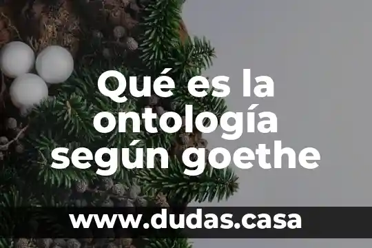 Qué es la ontología según goethe