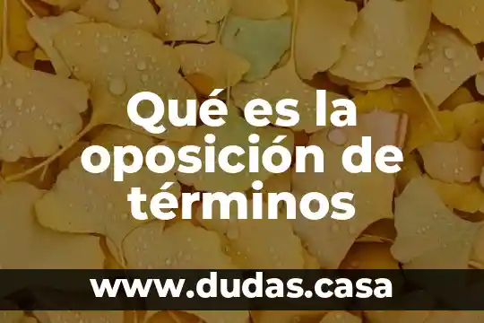 Qué es la oposición de términos
