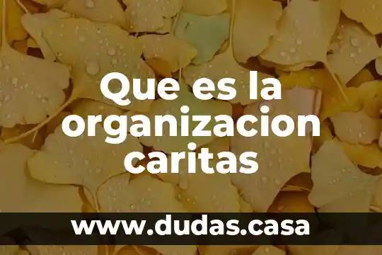Que es la organizacion caritas