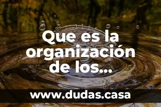 Que es la organización de los aprendizajes