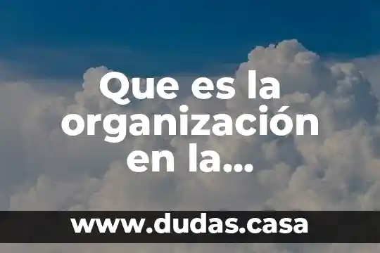 Que es la organización en la información adquirida