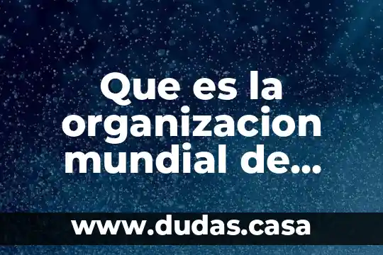 Que es la organizacion mundial de turismo