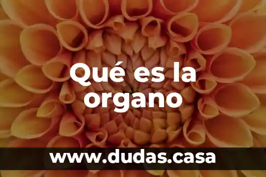 Qué es la organo