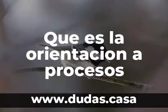 Que es la orientacion a procesos