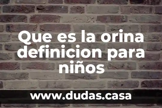 Que es la orina definicion para niños