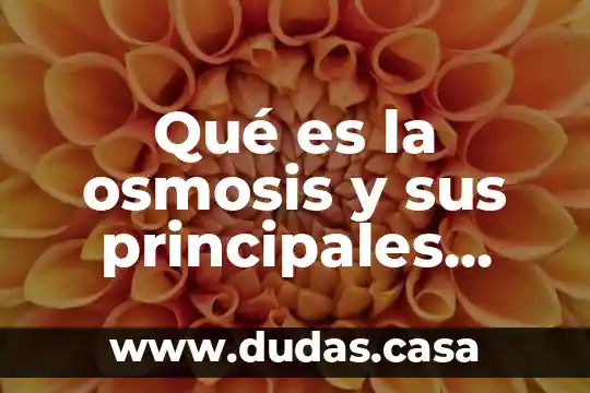 Qué es la osmosis y sus principales características