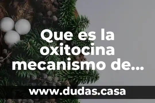 Que es la oxitocina mecanismo de accion