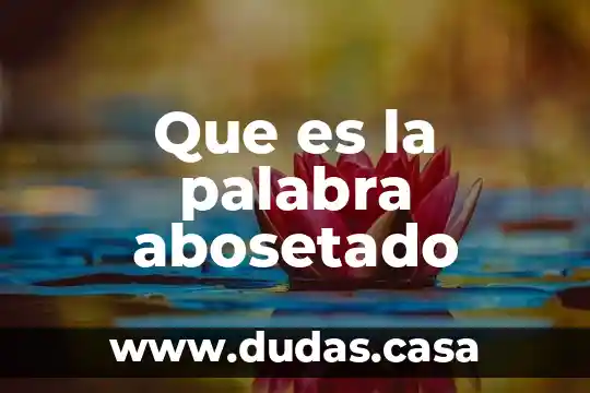 Que es la palabra abosetado