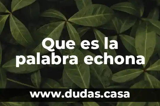Que es la palabra echona