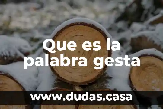 Que es la palabra gesta