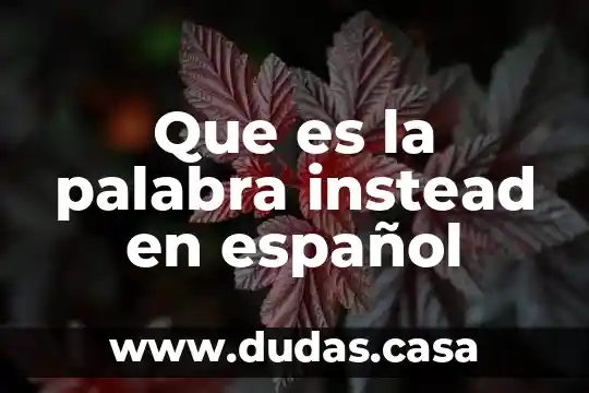 Que es la palabra instead en español
