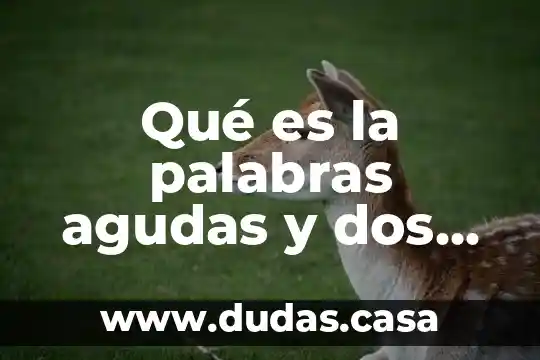 Qué es la palabras agudas y dos ejemplos