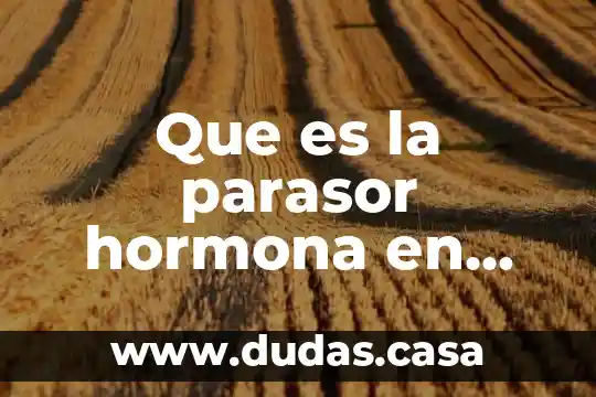 Que es la parasor hormona en una persona que emodialisan